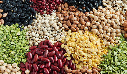 10 motivos para comer legumbres