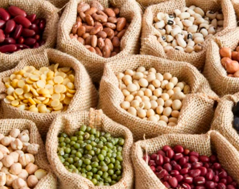 ¿Por qué deberías incluir legumbres en tu dieta?