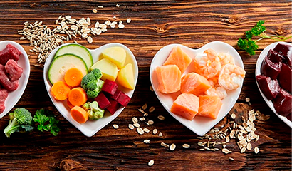 ¿Qué porción deberías comer de cada tipo de alimento?