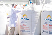 Iansa Ingredientes