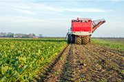 Insumos Agrícolas
