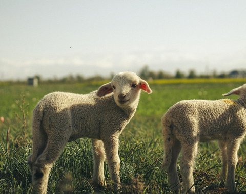 Cuidado con
el medioambiente
