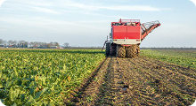 Insumos agrícolas