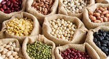 Iansa Agro