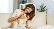 Felinnes