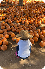 Educación nutricional y salud