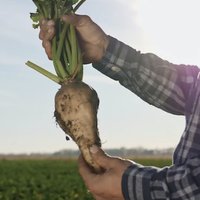 Alimentamos al mundo
con lo mejor de nuestra tierra
