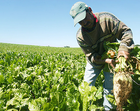 Desarrollo agrícola
y comunidades
