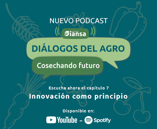 Innovación como
principio
