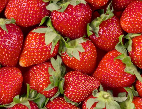 Strawberry Pulp Single Strength 14/16 °Brix – Without Seeds