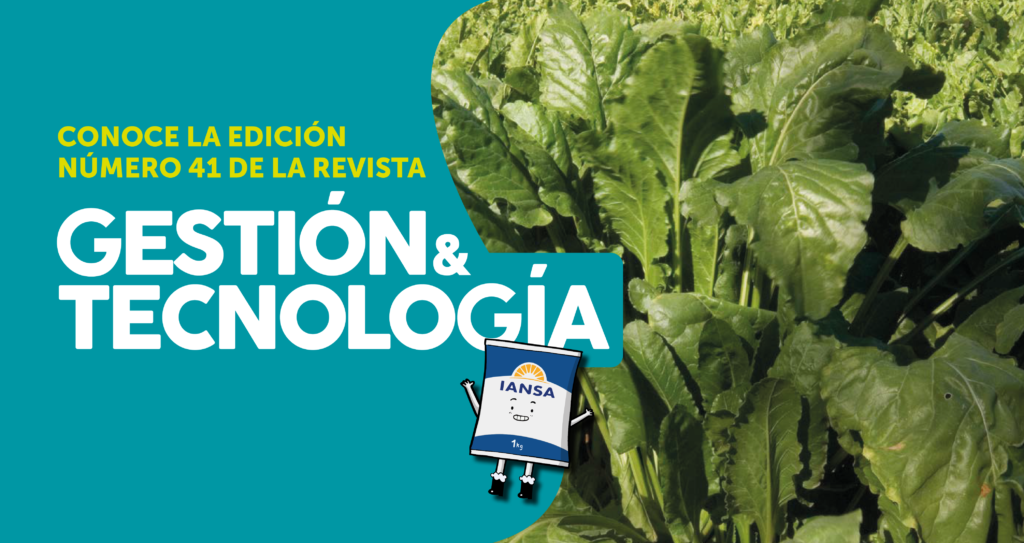 Foto de Ver Revista