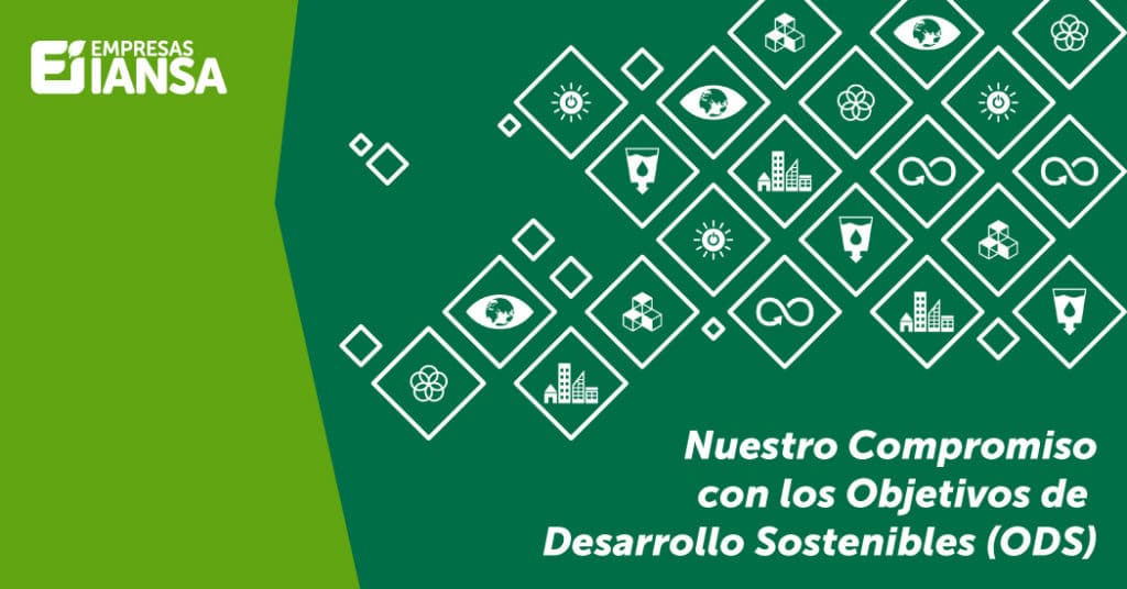 Foto de Ver ODS